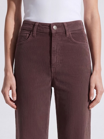 Mavi Flared Jeans in Brown