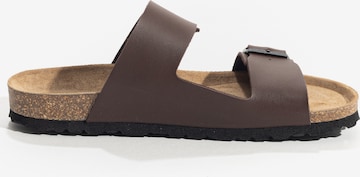 Bayton Mules 'LARDEN' in Brown