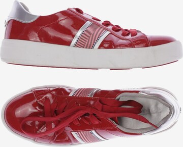 TAMARIS Sneakers & Trainers in 41 in Red: front