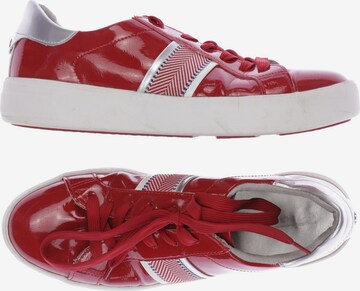 TAMARIS Sneaker 41 in Rot: predná strana