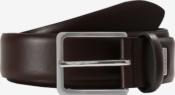 Ceinture bugatti en marron : devant