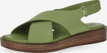 Sandalo di CAPRICE in verde: frontale