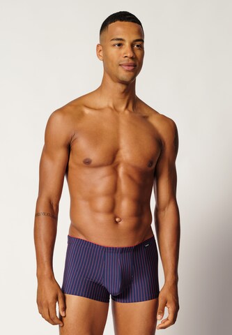 Skiny - regular Calzoncillo boxer en azul