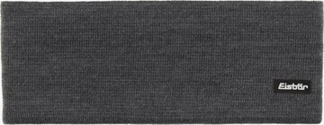 Eisbär Athletic Headband 'Havel' in Grey: front