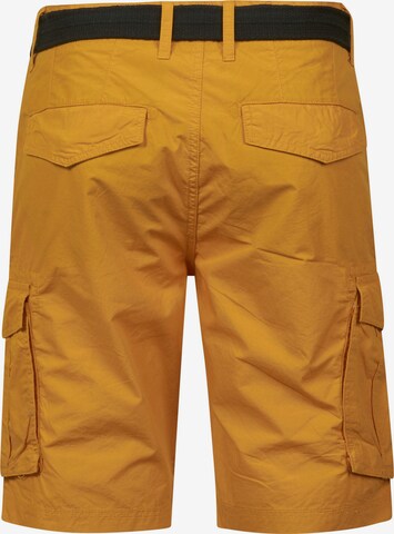 regular Pantaloni cargo di Petrol Industries in marrone