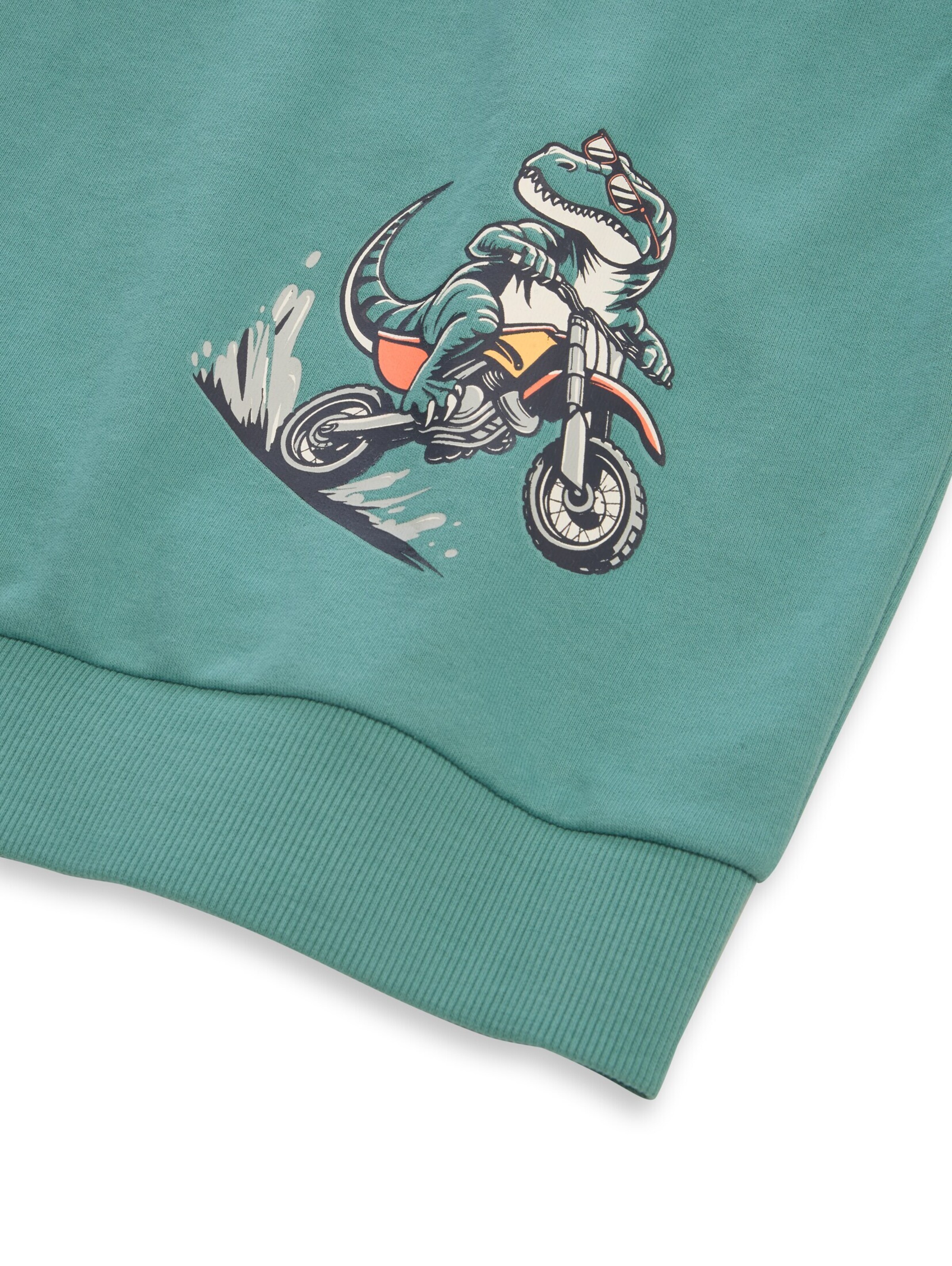 TOM TAILOR Sweatshirt in Green