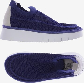 FLY LONDON Sneakers & Trainers in 35 in Blue: front