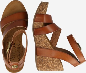 Sandalo con cinturino 'Hecta' di Blowfish Malibu in marrone