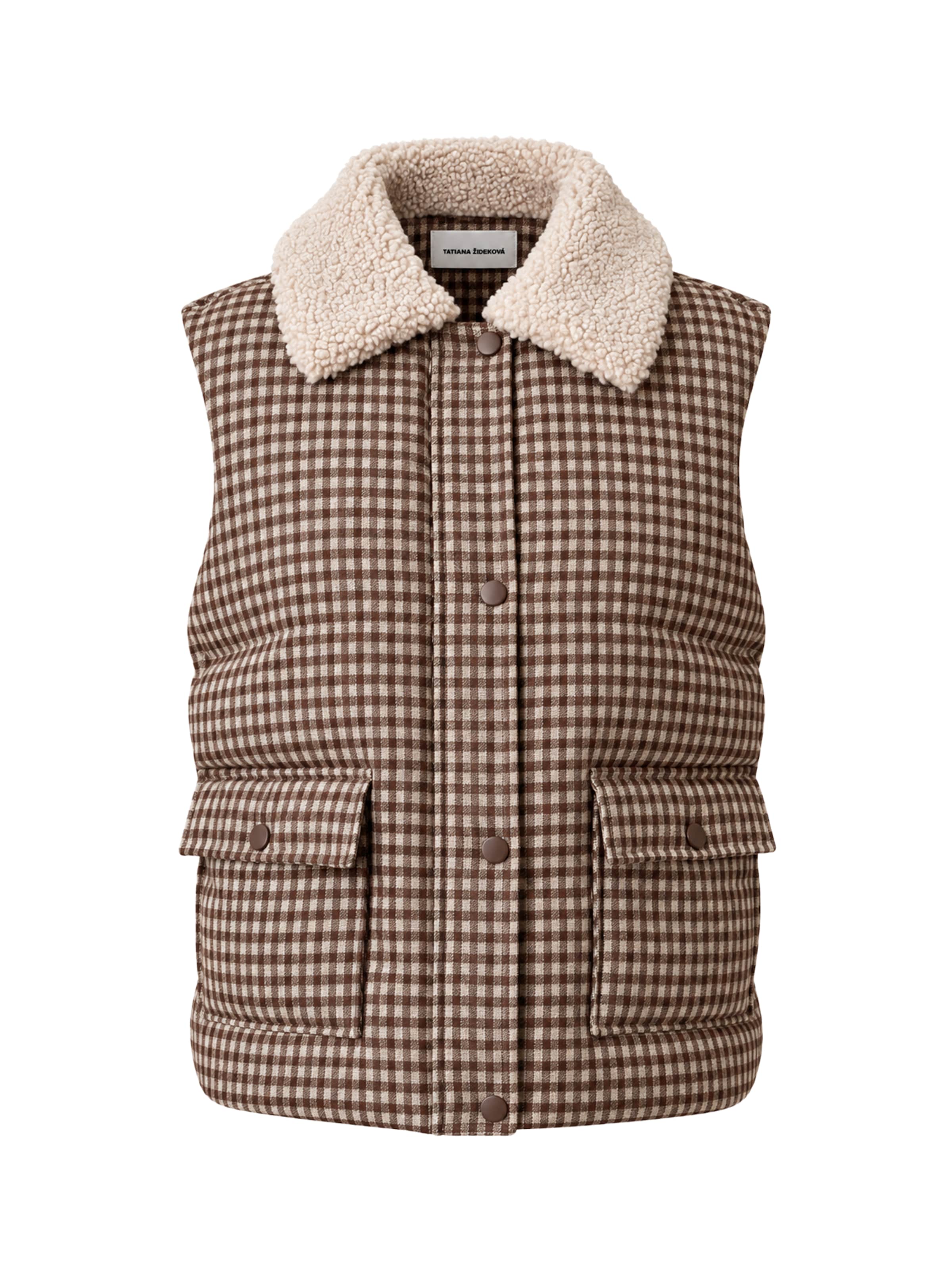 Tatiana Zidekova Vest in Brown: front