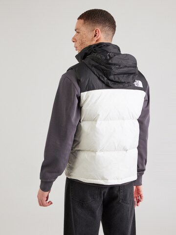 Coupe regular Gilet '1996 Retro Nuptse' THE NORTH FACE en blanc