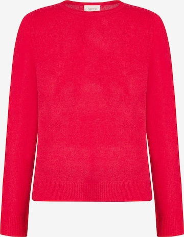 Cartoon Pullover in Rot: Vorderseite