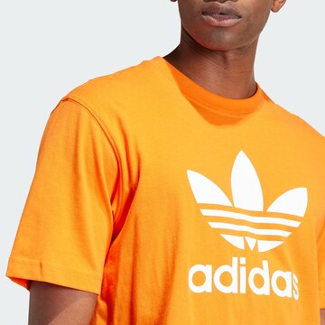 ADIDAS ORIGINALS Μπλουζάκι 'Adicolor Trefoil' σε πορτοκαλί