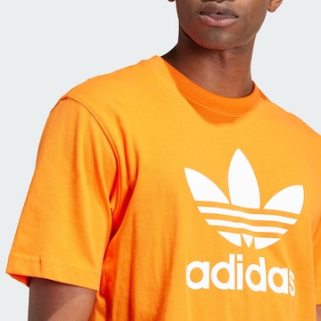 ADIDAS ORIGINALS T-Shirt 'Adicolor Trefoil' in Orange