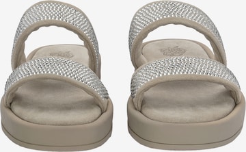 Apple of Eden Strap Sandals 'CLARICE' in Grey