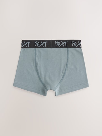 Next Underpants in Beige