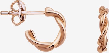Sofia Milani Ohrringe 'Curved' in Gold: Vorderseite