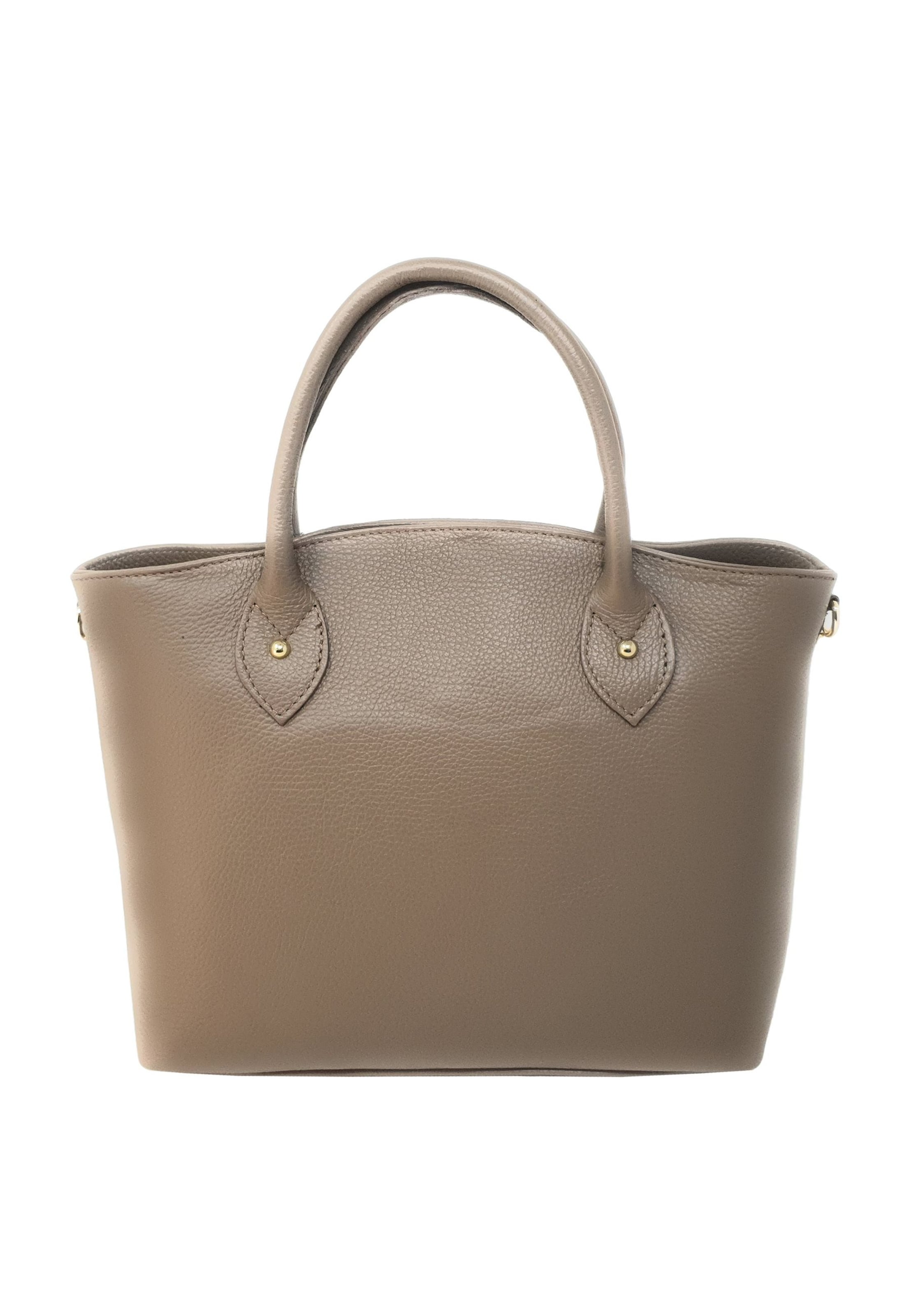 CHICCA BORSE Handbag in Beige: front