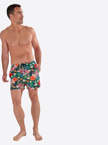 HOM Swimming shorts ' Beach Boxer Peacock ' in Mixed colours