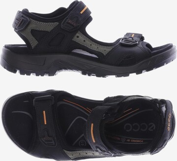 ECCO Sandalen 41,5 in Schwarz: predná strana