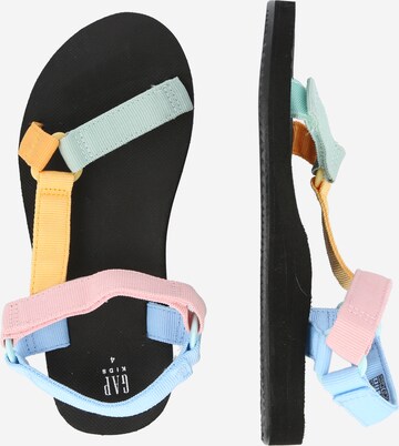 GAP Sandal in Mixed colours