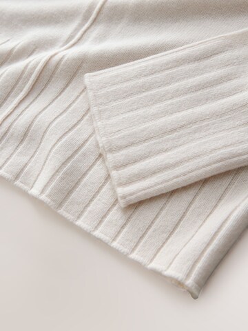 Next Sweater in Beige