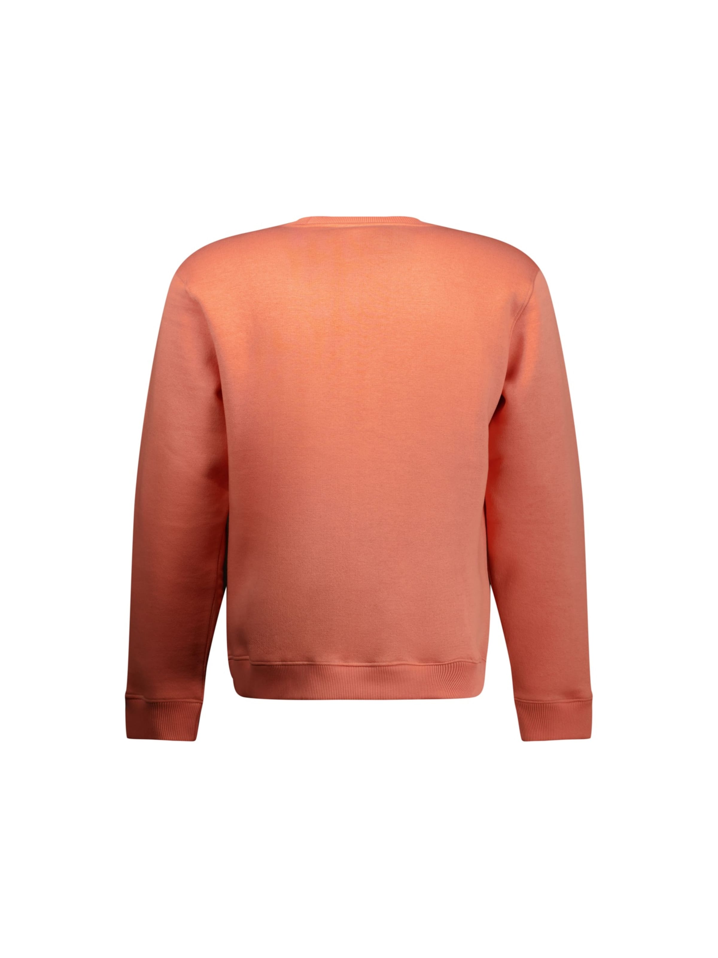 Sweat-shirt 'BENOR' Deeluxe en orange