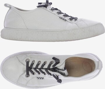 Paul Green Sneakers & Trainers in 37,5 in White: front