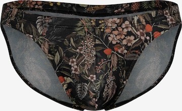 Slip ' RED2478 Brazilbrief ' Olaf Benz en mélange de couleurs : devant