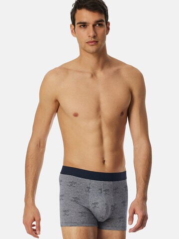 SCHIESSER Boxershorts ' 95/5 Organic Cotton ' in Blauw