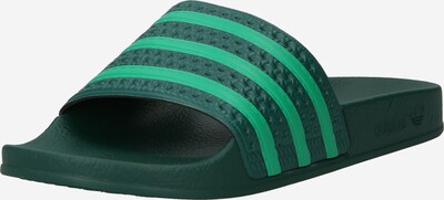 ADIDAS ORIGINALS Muiltjes 'Adilette' in de kleur Donkergroen, Productweergave