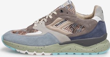 Sneaker bassa 'De Treener 01' di Floris van Bommel in marrone: frontale