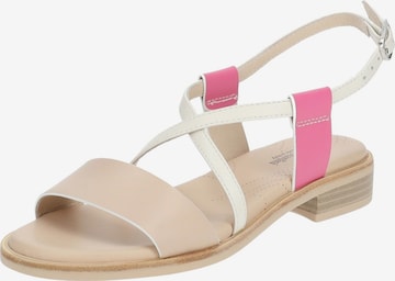 Nero Giardini Strap Sandals in Mixed colors: front