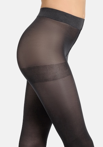 camano Fine Tights in Grey