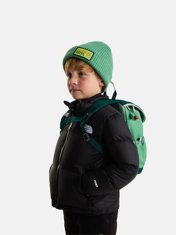 THE NORTH FACE Rucksack 'Explorer' in Grün