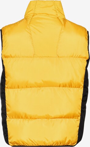 SOUTHPOLE Bodywarmer '1.0' in Geel