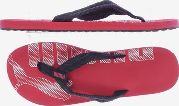 PUMA Sandals & Slippers in 42 in Red: front