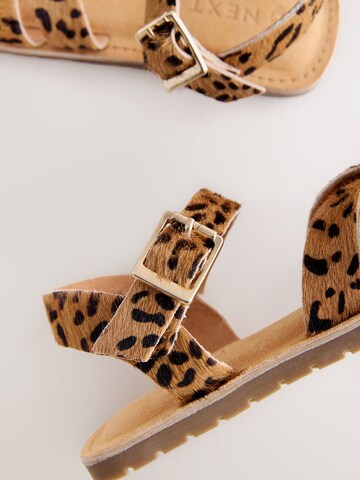 Next Sandalen in Bruin