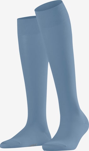 FALKE Knee High Socks 'Cotton Touch' in Blue: front