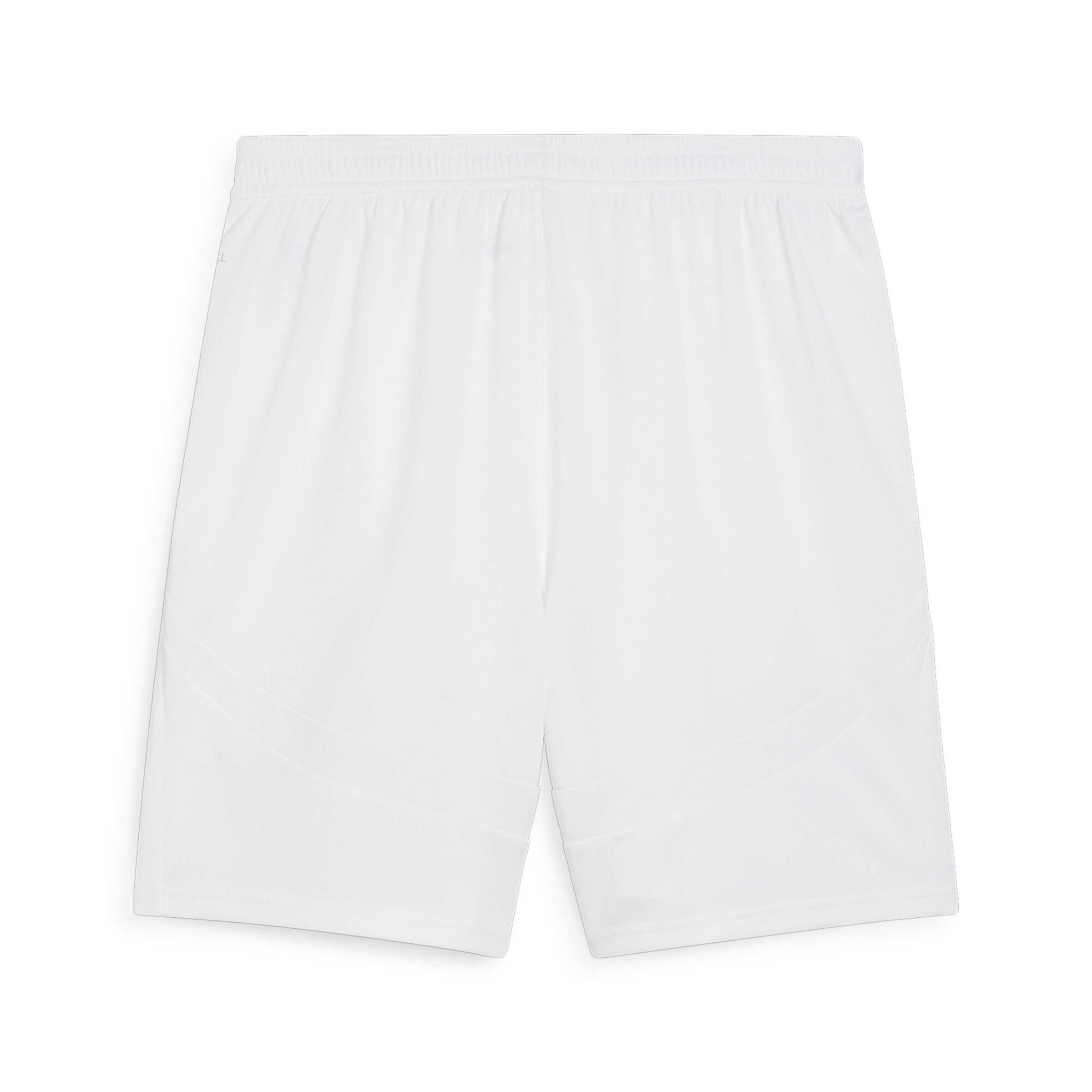 PUMA Regular Workout Pants 'Österreich Replica' in White