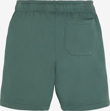Regular Pantalon 'Youth Mapleton' DICKIES en vert