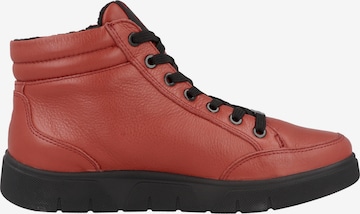 ARA Stiefelette in Rot