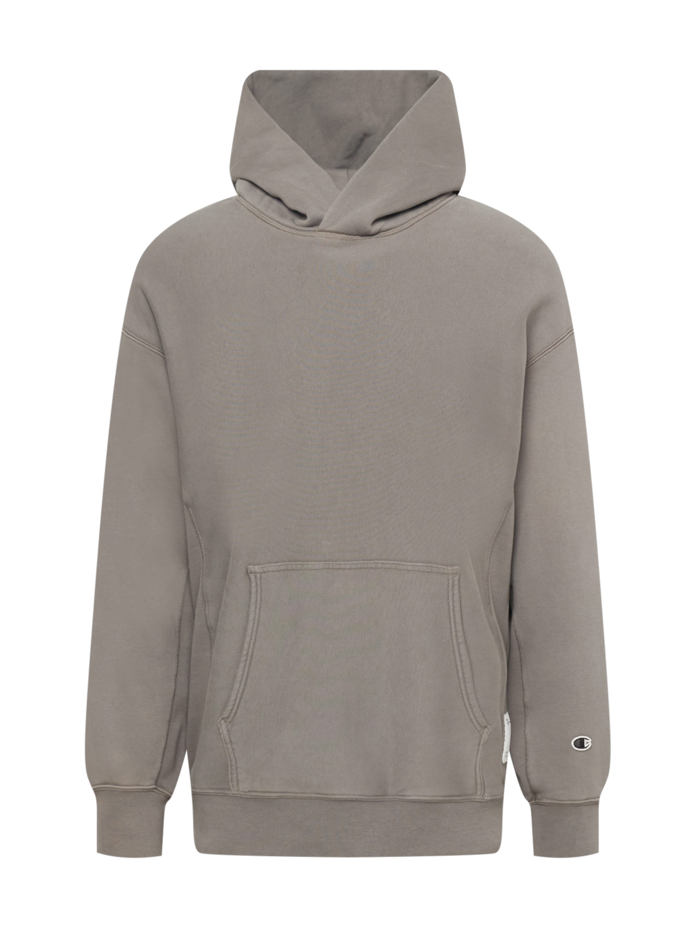 Champion Reverse Weave Sweatshirt in Grey: front