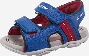 GEOX Sandals & Slippers 'AGASIM' in Blue: front