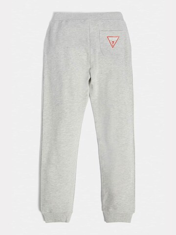 GUESS Tapered Pants in Grey