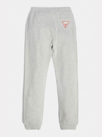 GUESS Tapered Pants in Grey