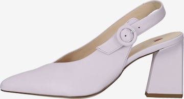 Högl Pumps in Purple