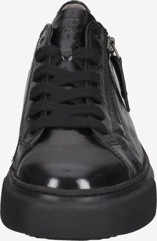 Paul Green Sneakers in Black