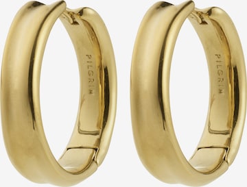 zelts Pilgrim Auskari ' Kayden ': no priekšpuses