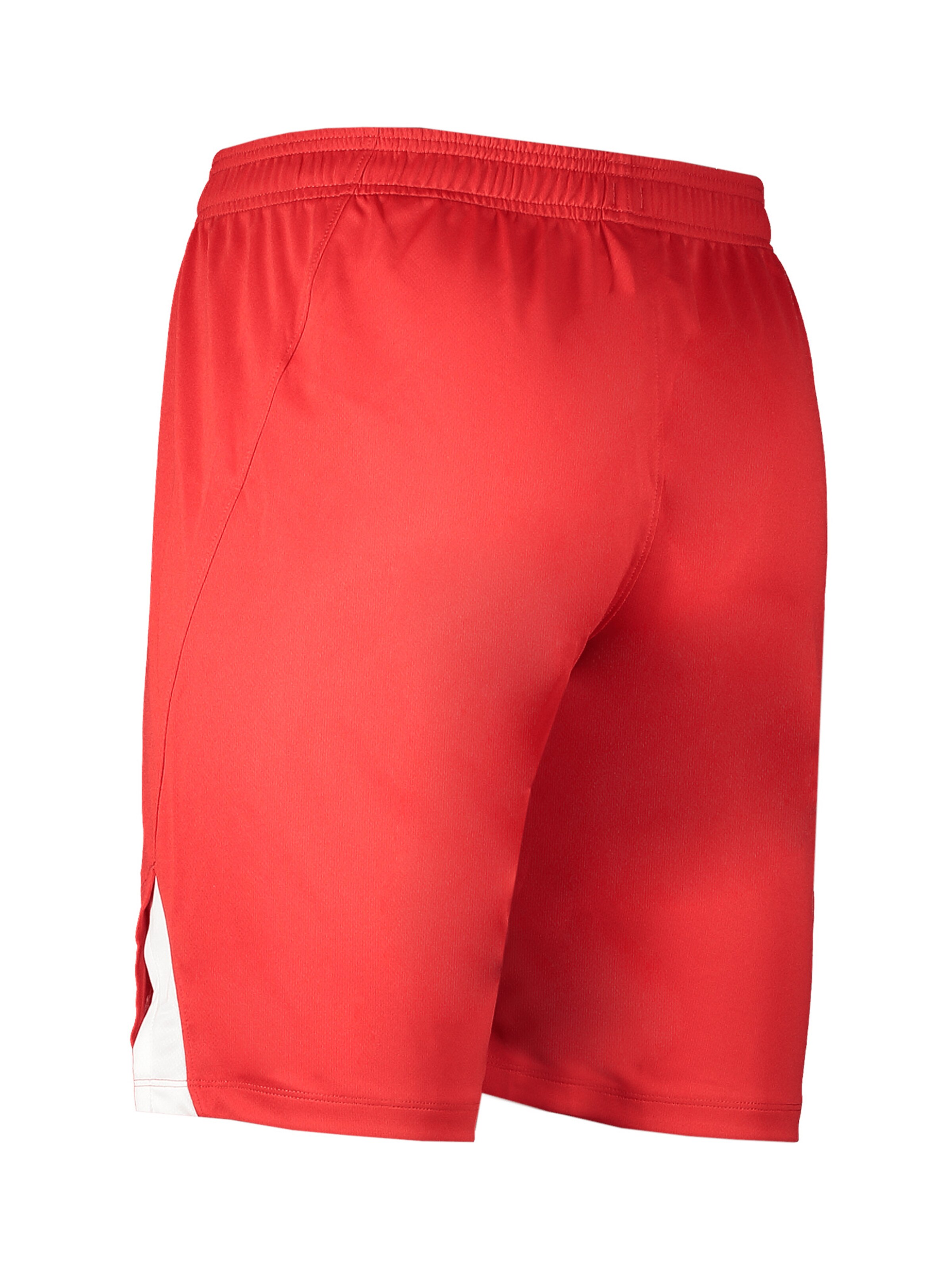 NIKE Regular Workout Pants in Red