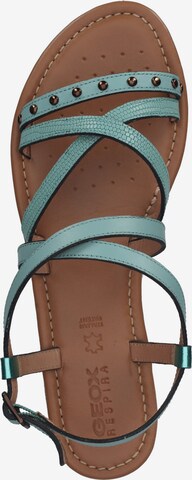 GEOX Sandalen met riem in Groen